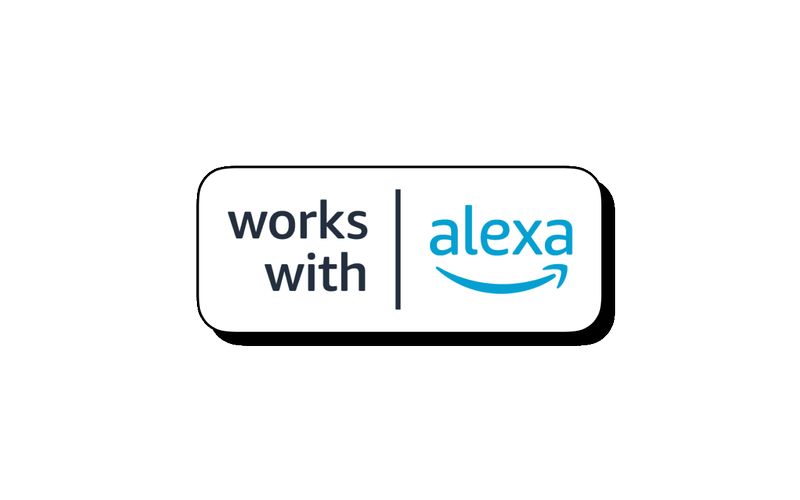 XIMG01006 Works with Alexa master ita